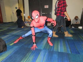 Cosplay - Spider-Man