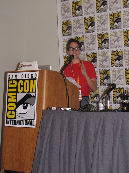 Alison Bedchel Panel.JPG