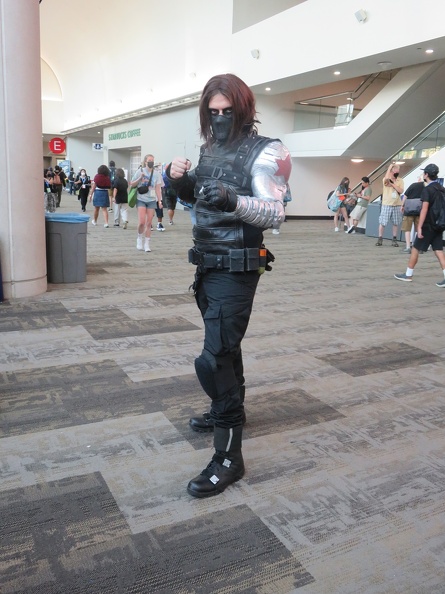 Winter Soldier.JPG