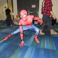 Cosplay - Spider-Man